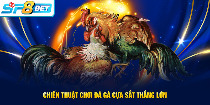 Chiến thuật hay khi cá cược đá gà cựa sắt