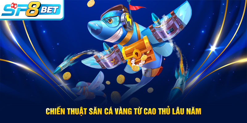 Kinh nghiệm chơi bắn cá Vàng từ cao thủ