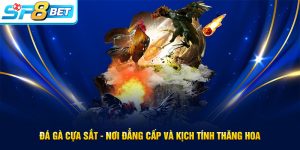 Đá gà cựa sắt