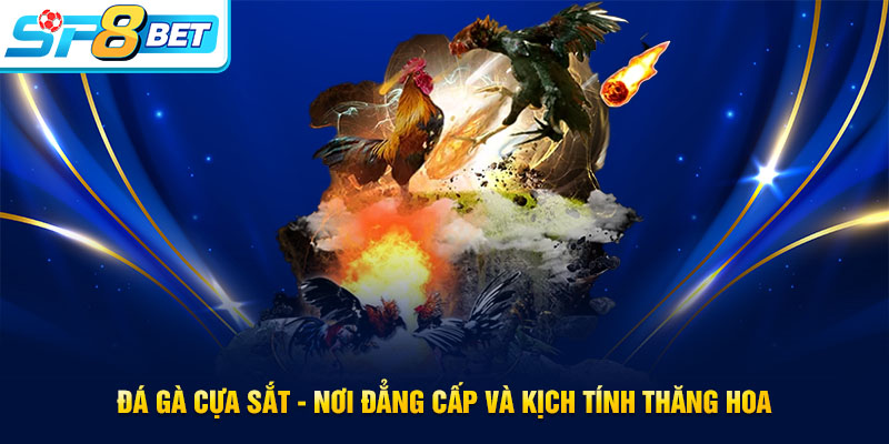Đá gà cựa sắt