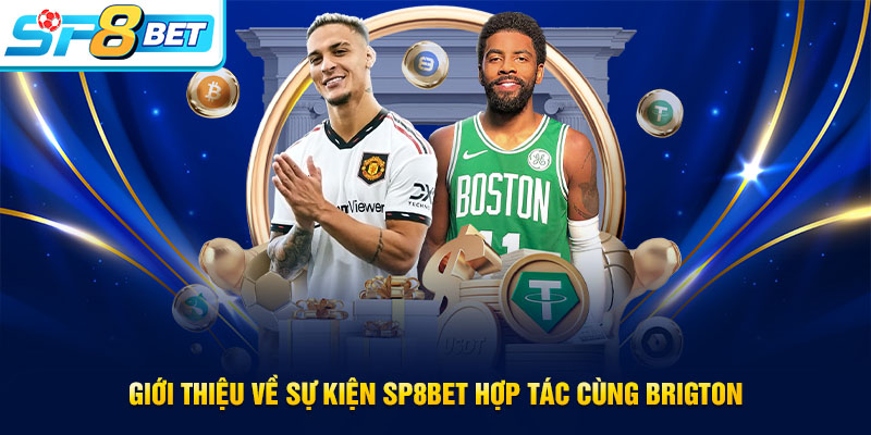 Giới thiệu sự kiện SP8BET hợp tác cùng Brigton