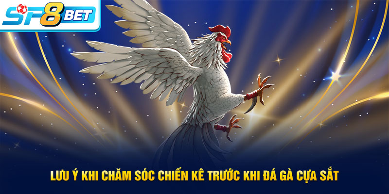 Các lưu ý khi chăm sóc chiến kê đá gà cựa sắt