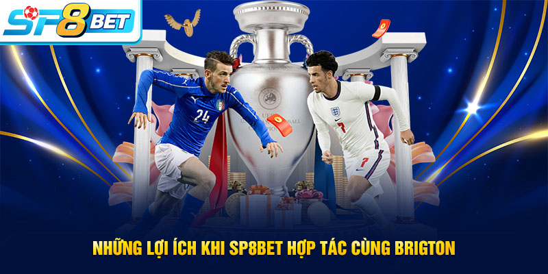Lợi ích khi SP8BET hợp tác cùng Brigton