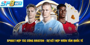 SP8BET hợp tác cùng Brigton