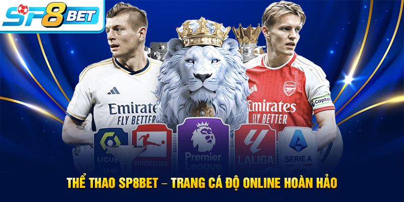 Lý do nên tham gia cá cược tại thể thao SP8BET?