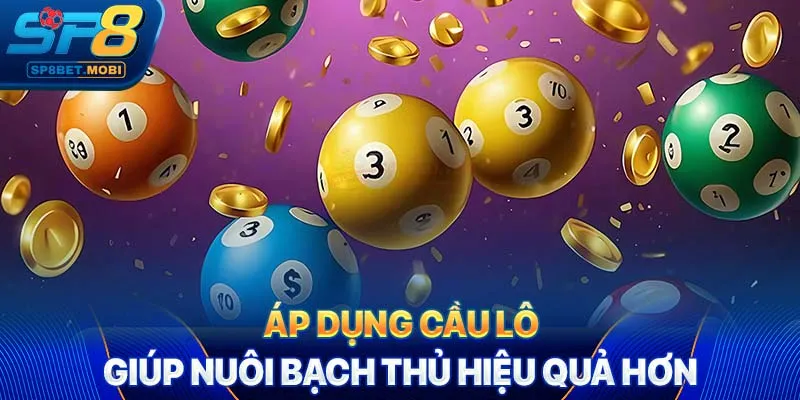 Áp dụng cầu lô giúp nuôi bạch thủ hiệu quả hơn