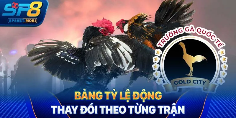 Bảng tỷ lệ động thay đổi theo từng trận