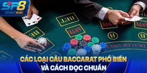 cầu baccarat sp8bet