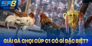 Gà chọi Cúp C1