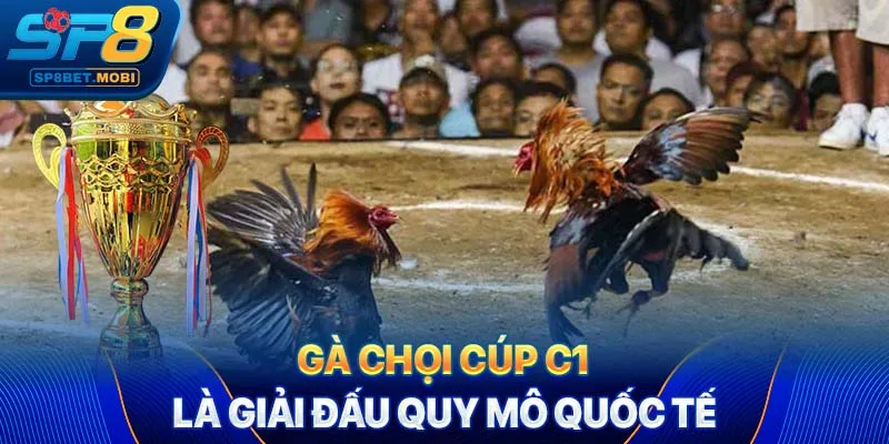 Gà chọi Cúp C1 là giải đấu quy mô quốc tế