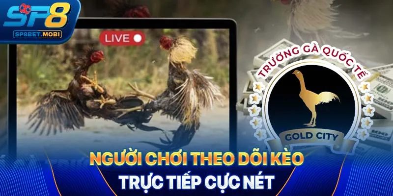 Người chơi theo dõi kèo trực tiếp cực nét