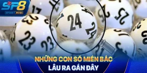 Những con số miền Bắc lâu ra