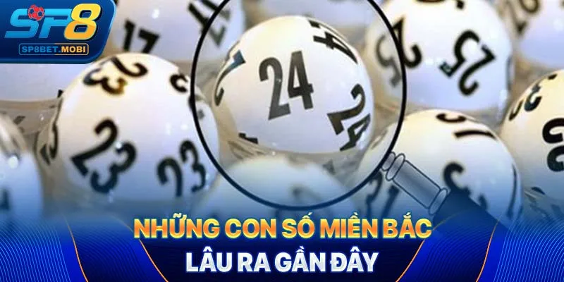 Những con số miền Bắc lâu ra