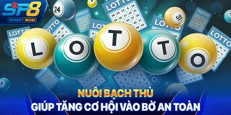 Nuôi bạch thủ giúp tăng cơ hội vào bờ an toàn