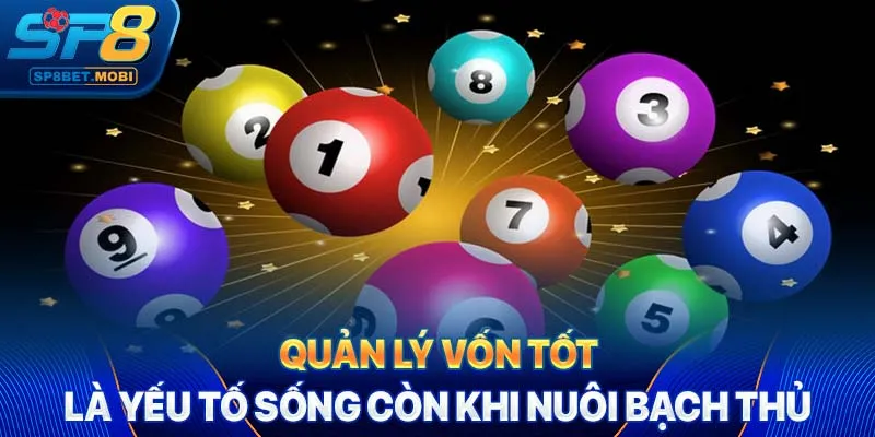 Quản lý vốn tốt là yếu tố sống còn khi nuôi bạch thủ