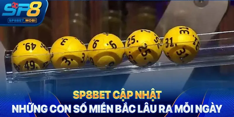 SP8bet cập nhật những con số miền Bắc lâu ra mỗi ngày