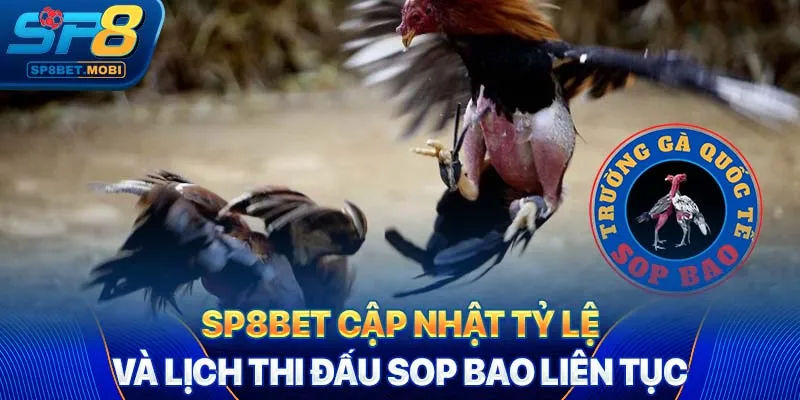 SP8bet cập nhật tỷ lệ và lịch thi đấu Sop Bao liên tục