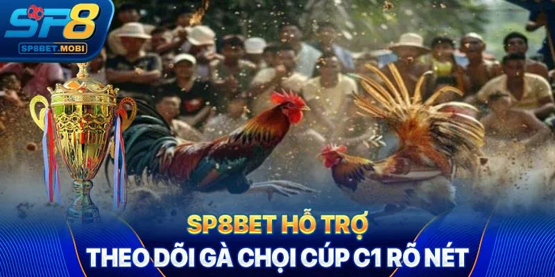 SP8bet hỗ trợ theo dõi gà chọi Cúp C1 rõ nét