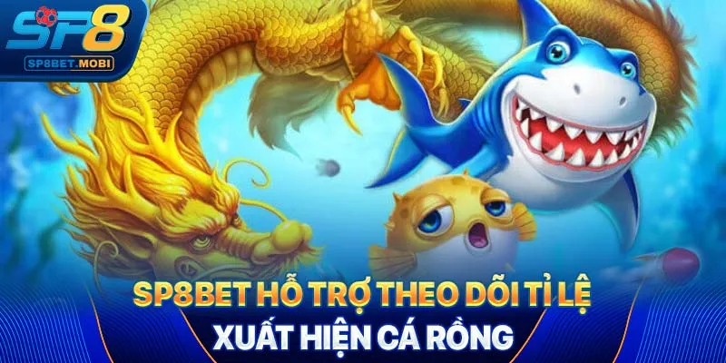 SP8bet hỗ trợ theo dõi tỉ lệ xuất hiện cá rồng