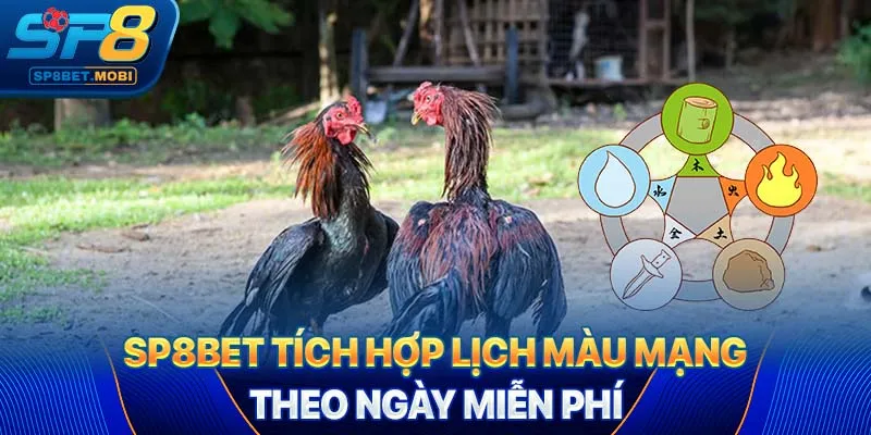 SP8bet tích hợp lịch màu mạng theo ngày miễn phí