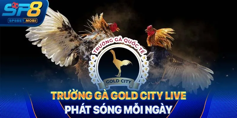 Trường gà Gold City Live phát sóng mỗi ngày