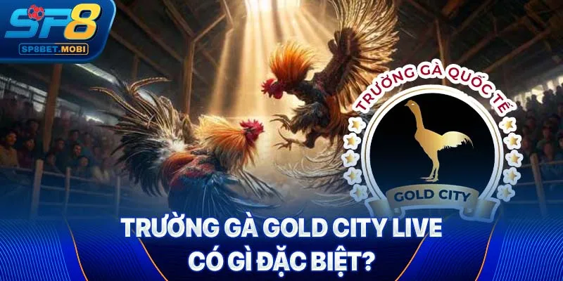 Trường gà Gold City Live