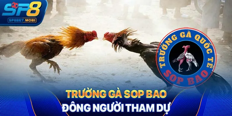Trường gà Sop Bao đông người tham dự